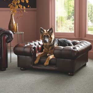 Lit pour chien - Chesterfield